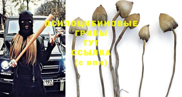 тгк Покачи