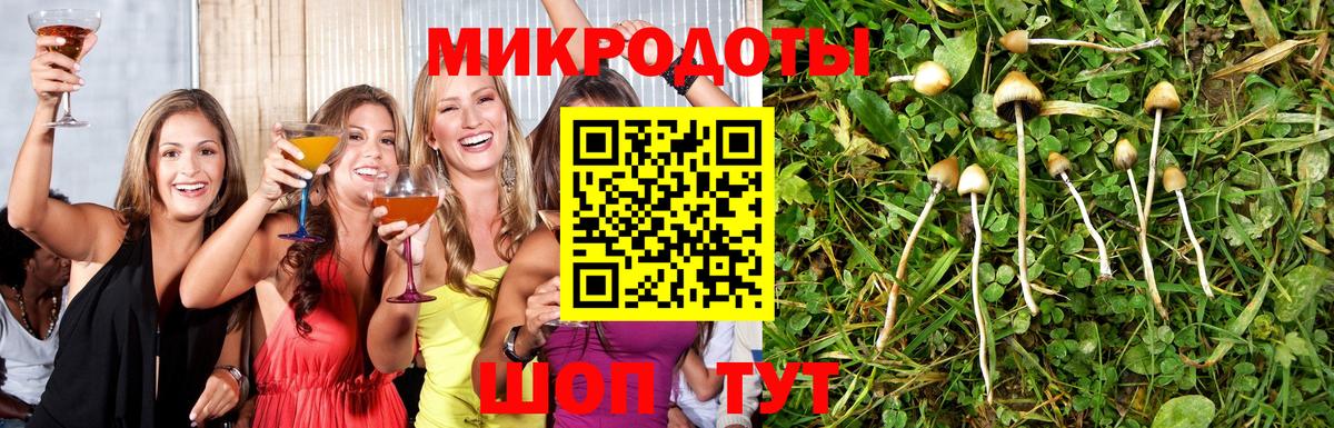 Галлюциногенные грибы мицелий Партизанск
