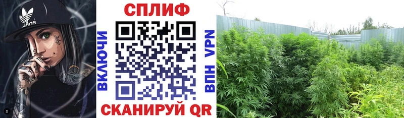 Конопля LSD WEED  сайты даркнета наркотические препараты  Партизанск 